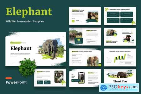 Elephant - Wildlife PowerPoint
